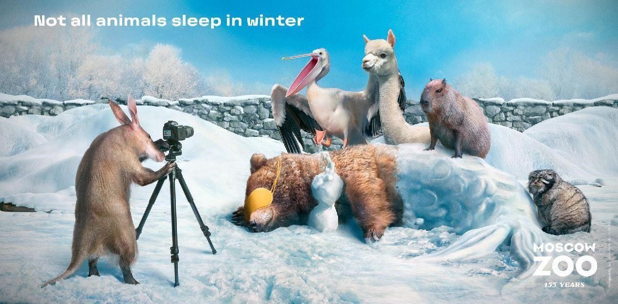 Животные фотографируются на фоне спящего товарища