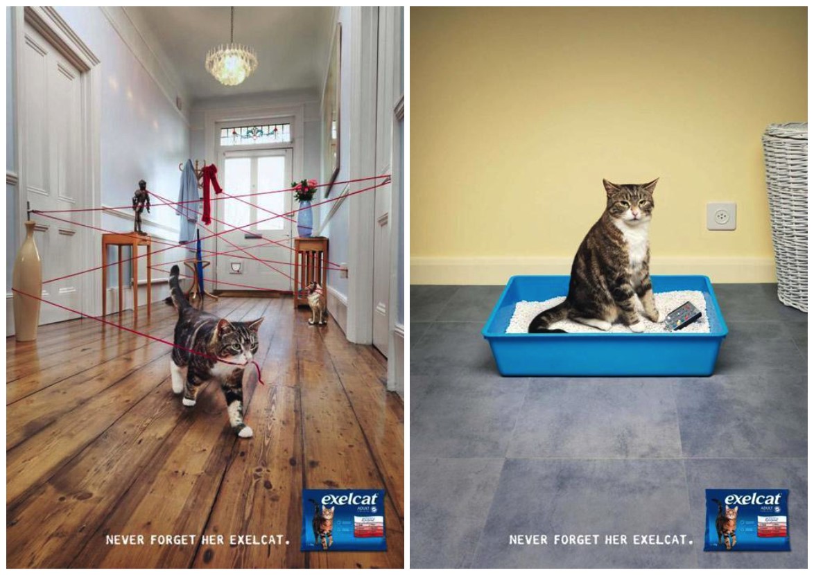 Животные получают человеческие черты