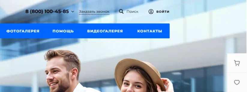 Кнопка «Войти» и иконка корзины