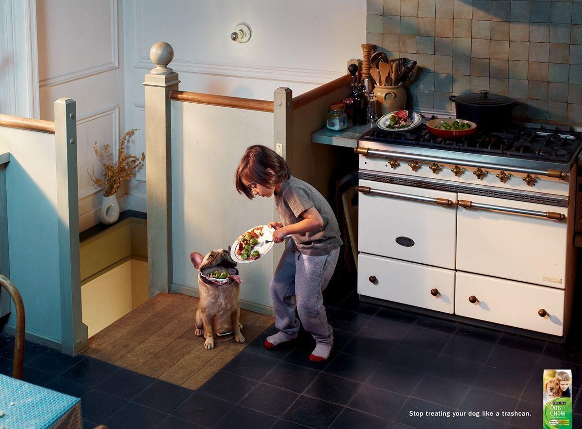 Собаку напрямую сравнивают с мусорным ведром