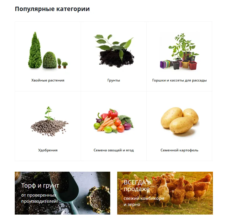 Блок с популярными категориями