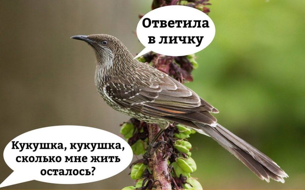 ответила в личку